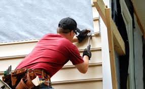 Best Siding Painting and Refinishing  in Gorevle, IL